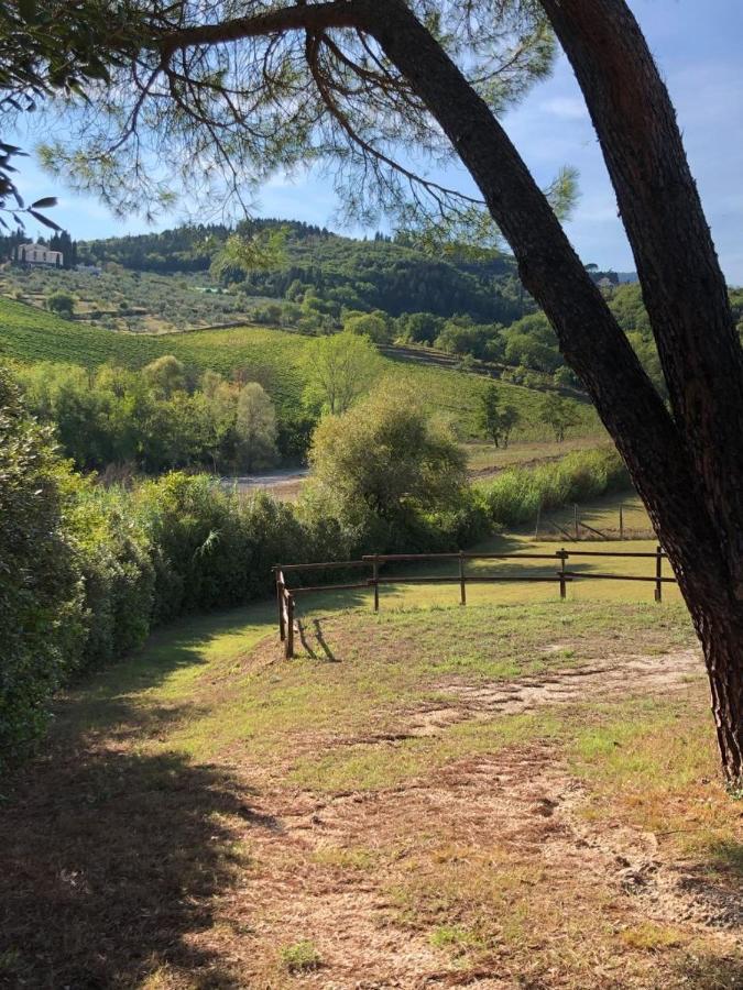 La Gufaia - Holiday House With Private Pool Near Florence Carmignano Dış mekan fotoğraf