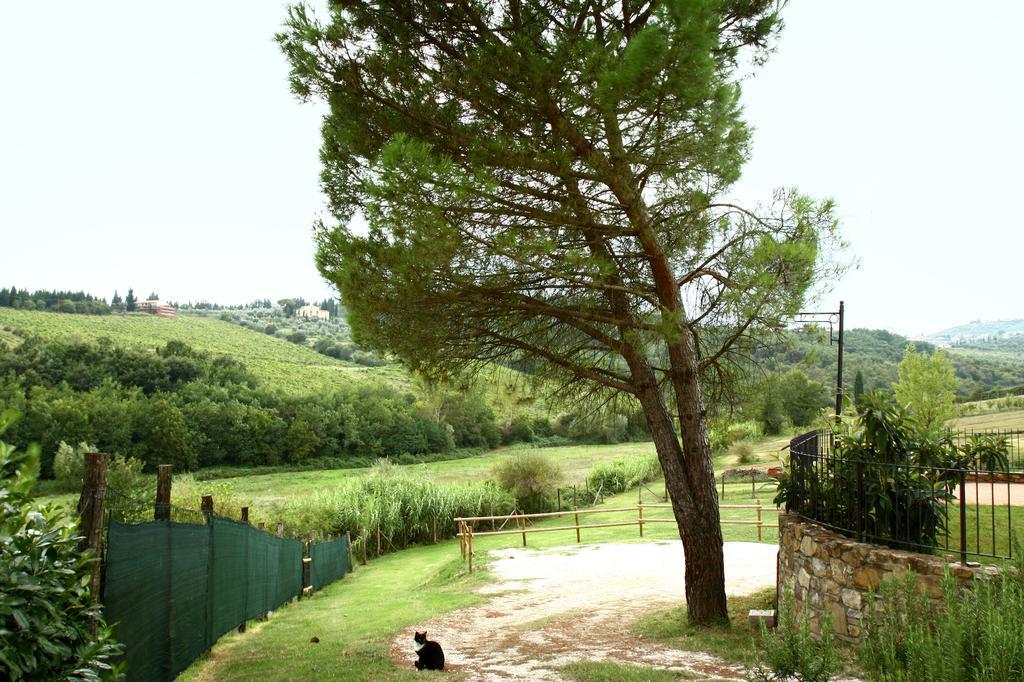 La Gufaia - Holiday House With Private Pool Near Florence Carmignano Dış mekan fotoğraf